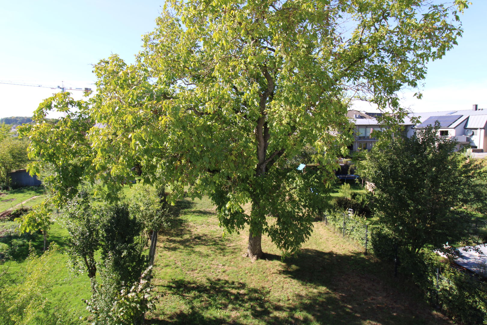 Image du bien immobilier 18