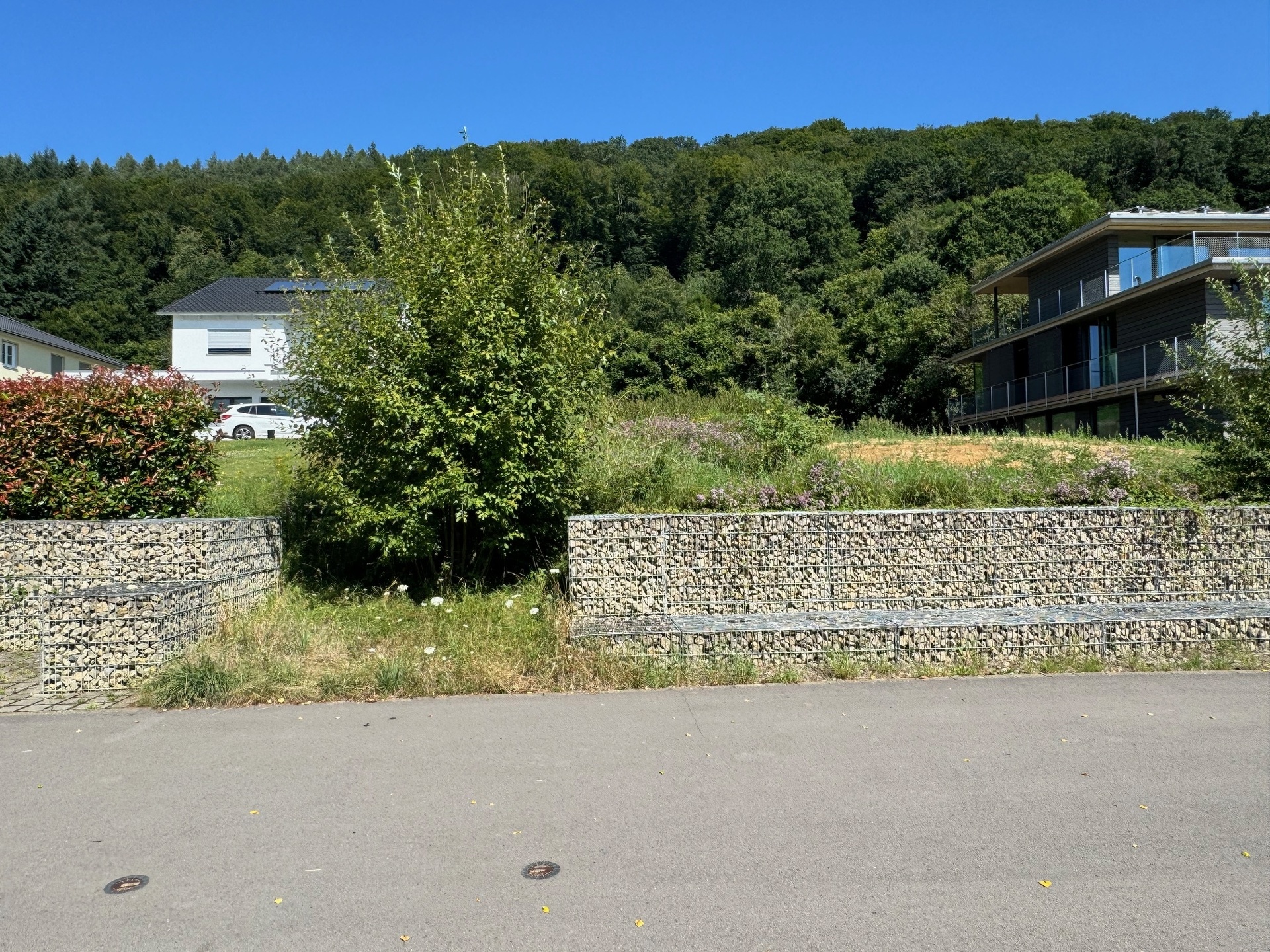 Image du bien immobilier 2