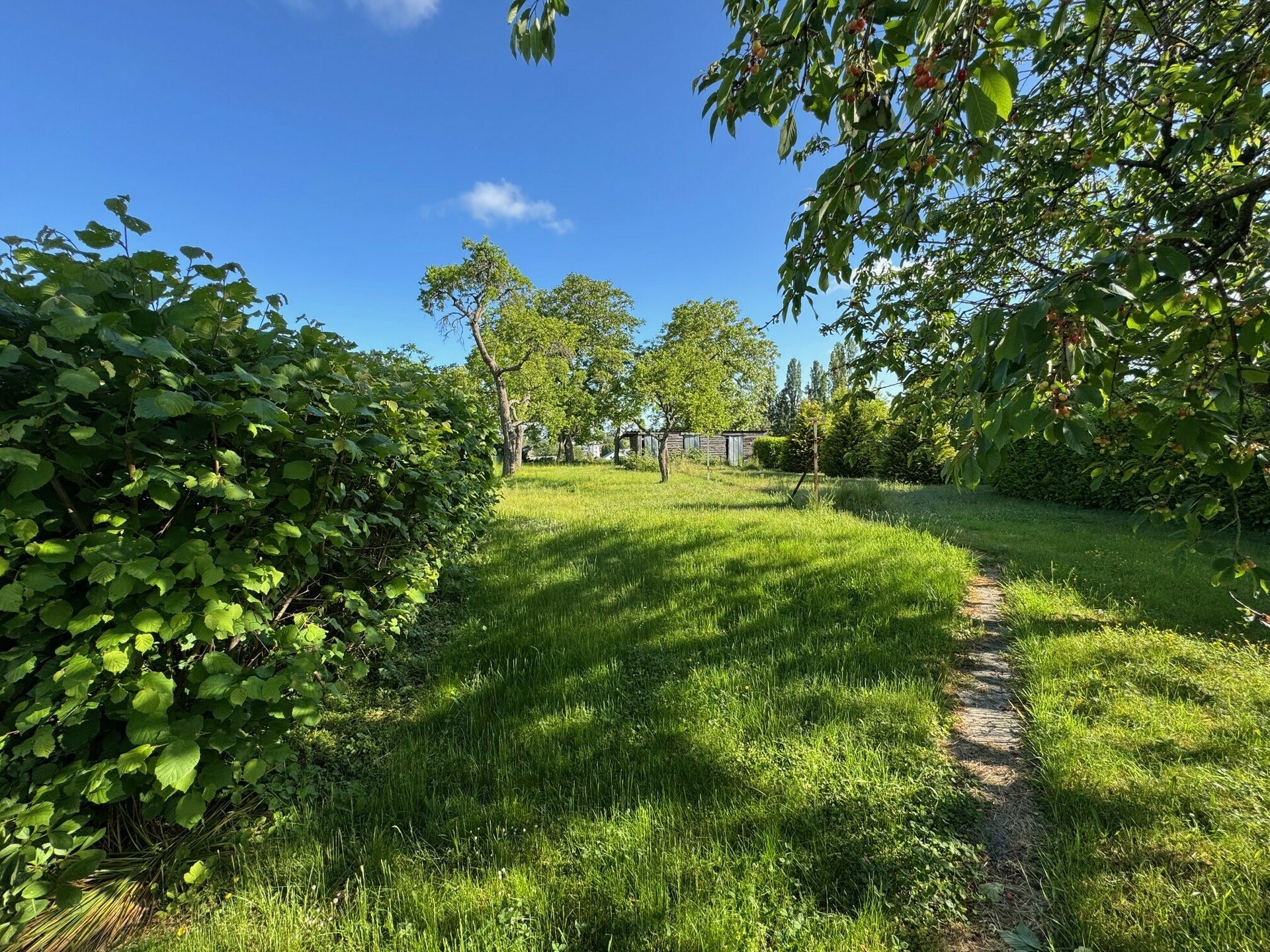 Image du bien immobilier 3
