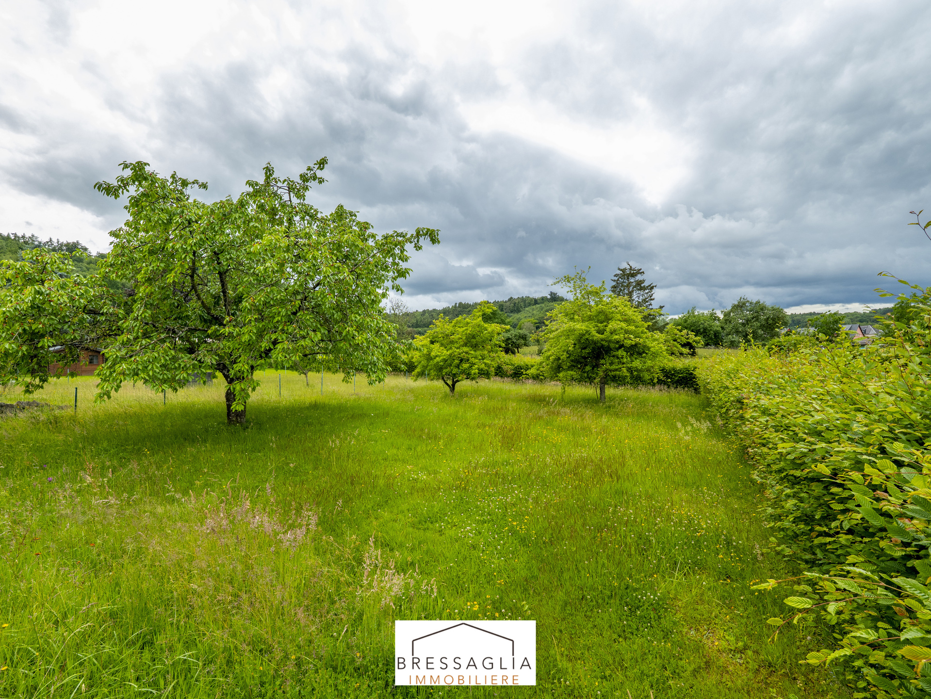 Image du bien immobilier 29